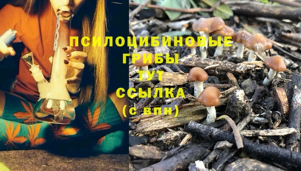 амф Абинск